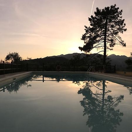 Agriturismo Il Pino San Martino in Freddana Esterno foto