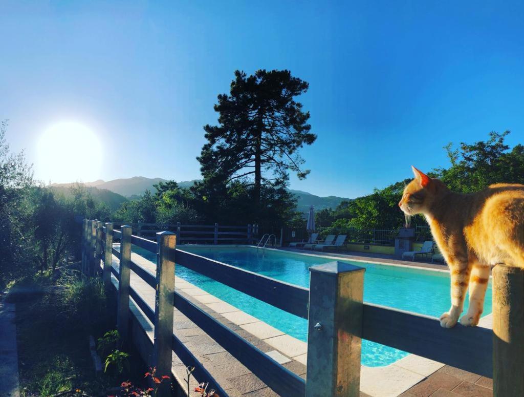 Agriturismo Il Pino San Martino in Freddana Esterno foto