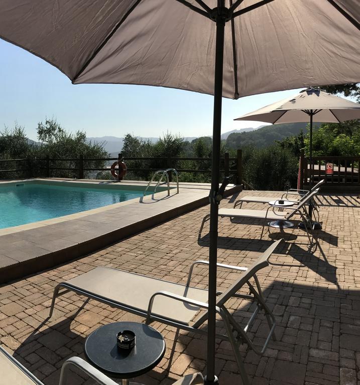 Agriturismo Il Pino San Martino in Freddana Esterno foto