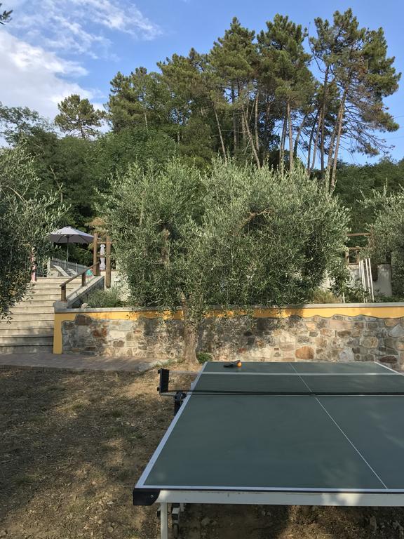 Agriturismo Il Pino San Martino in Freddana Esterno foto