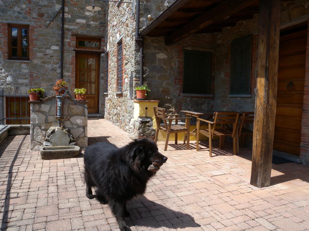 Agriturismo Il Pino San Martino in Freddana Esterno foto