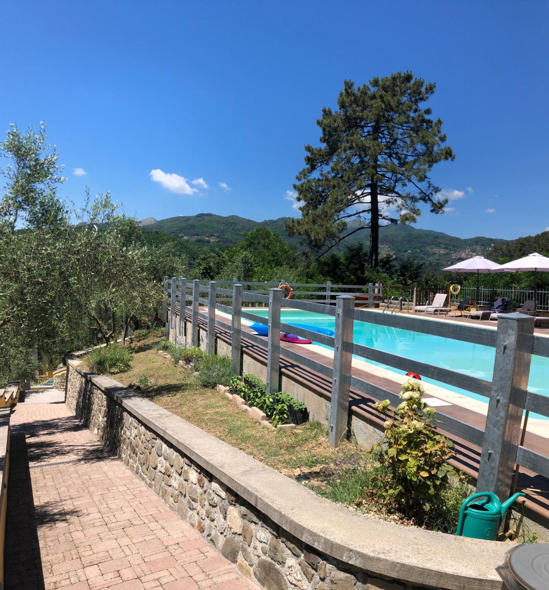 Agriturismo Il Pino San Martino in Freddana Esterno foto